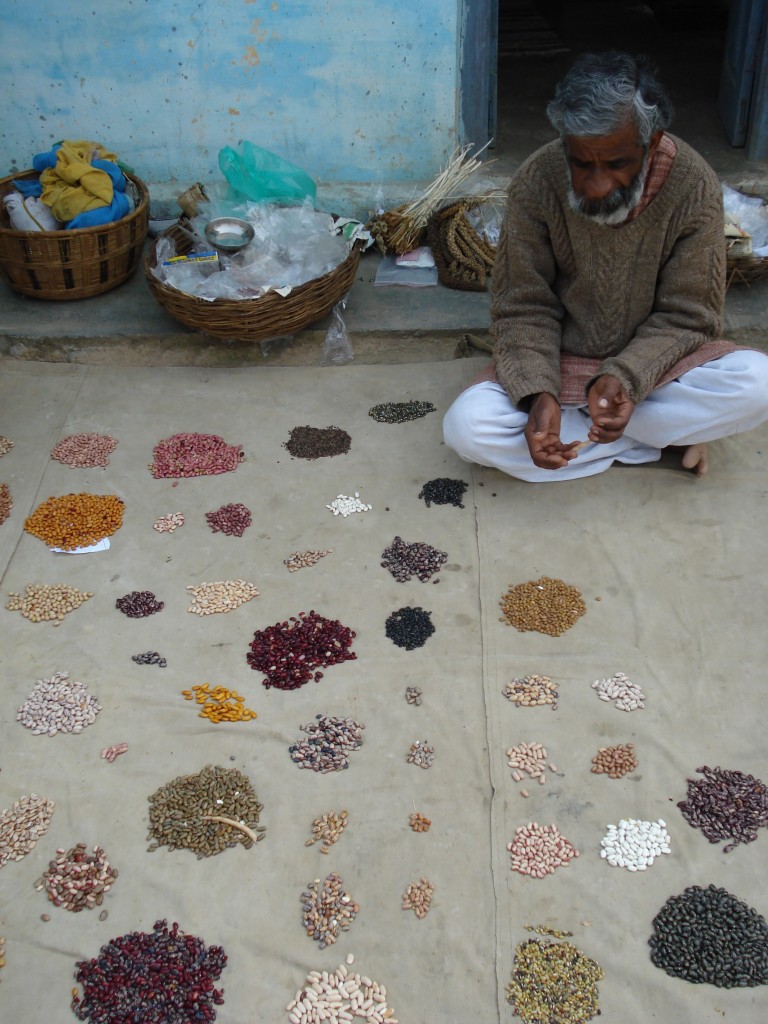 Barahnaja, a traditional system of taking 12 crops in a year; Beej Bachao Andolan