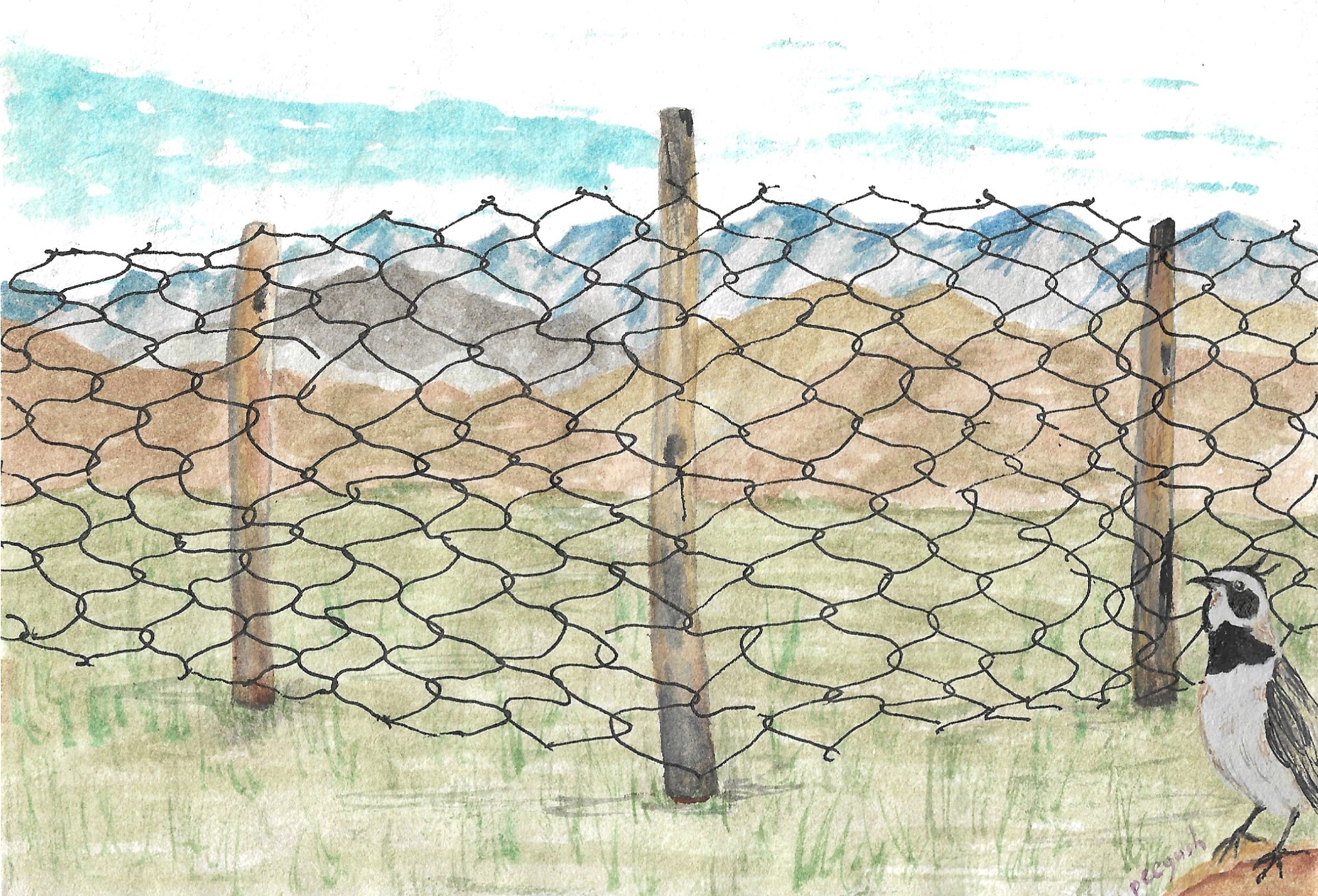 Illustration: Peeyush Sekhsaria