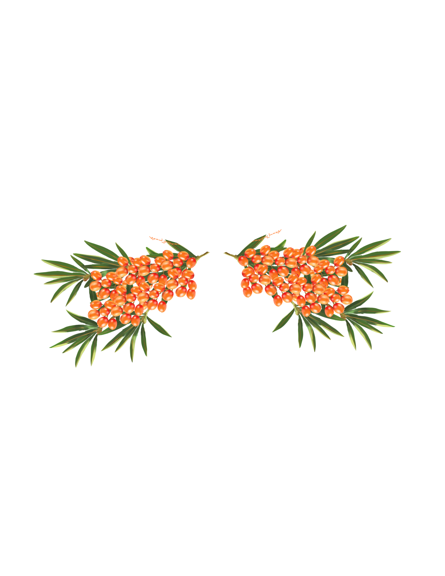 Illustration: Nawang Tankhe