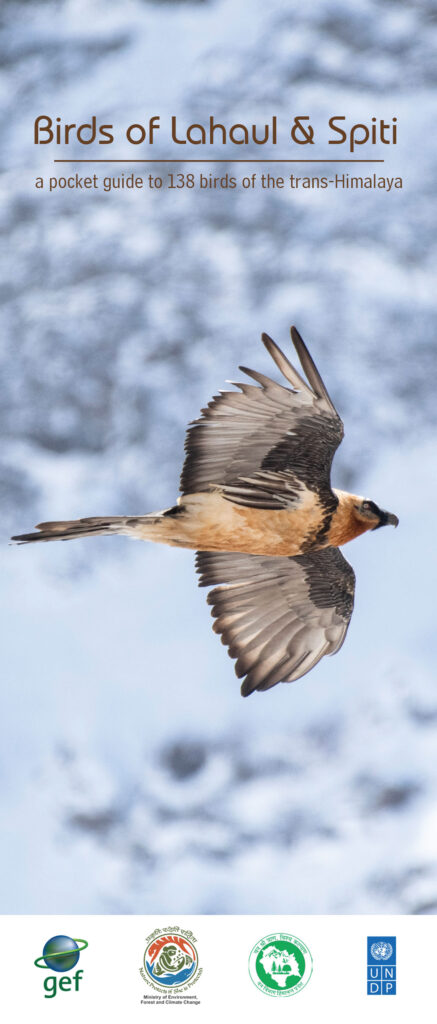 Birds of Lahaul-Spiti