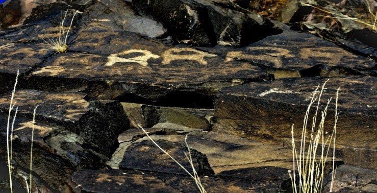 "Ibex" rock-art | Photo: Sherab Lobzang