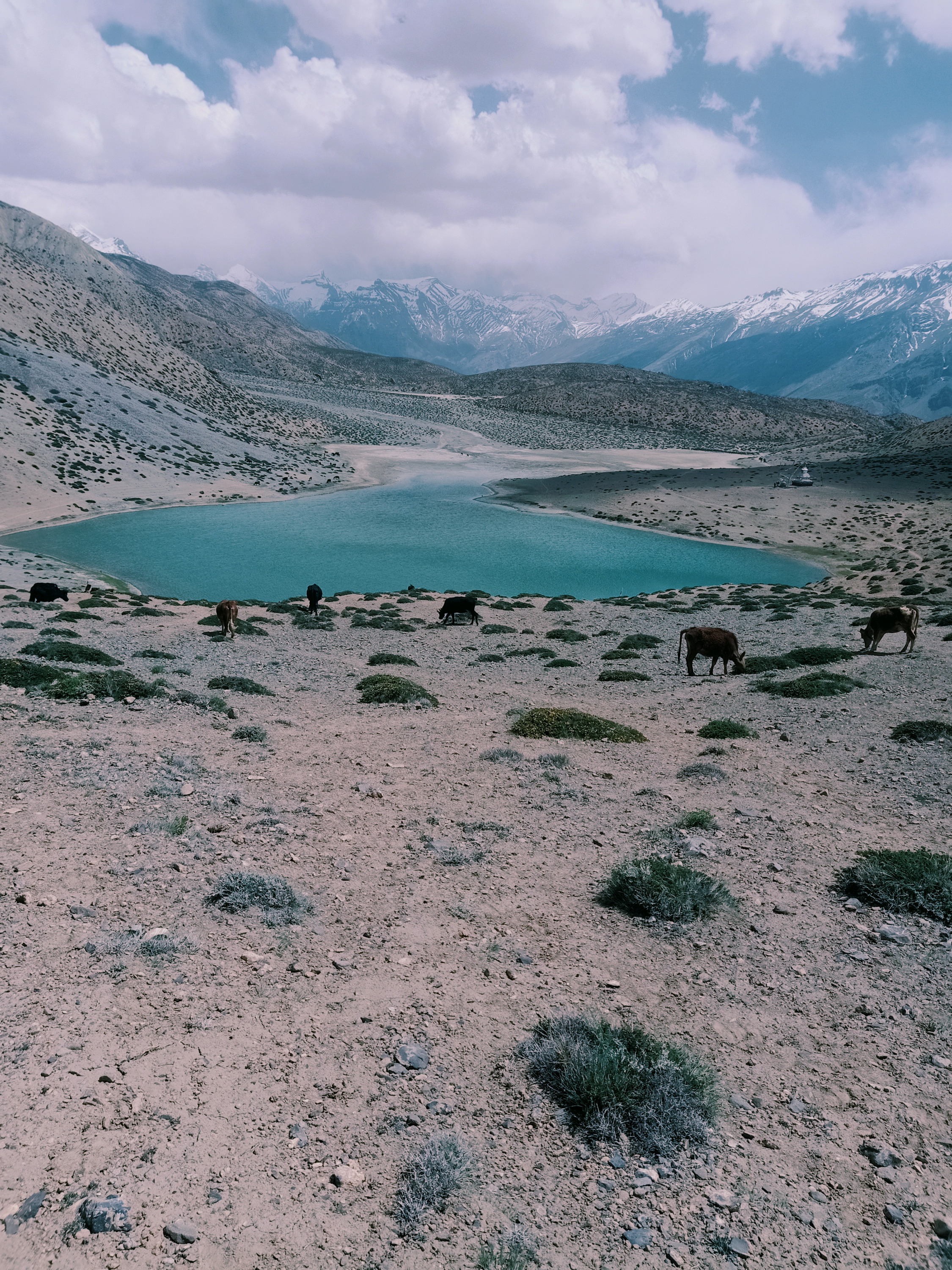 Photo: Kalzang Dolma