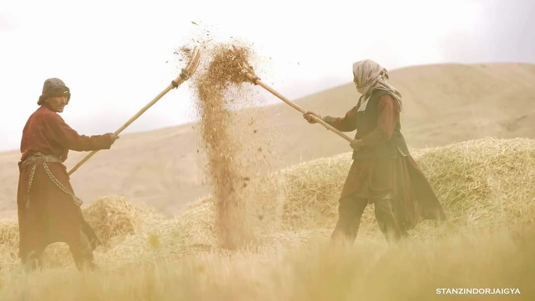 Photo: Stanzin Dorjai (Gya)