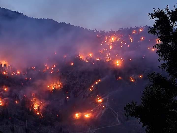 Forest fires in Akpa & Jangi forest | Photo: Heer Chander (Village Jangi)