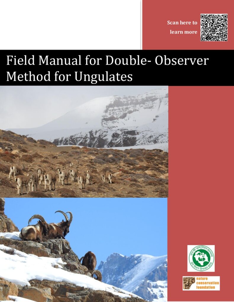 Double Observer Surveys