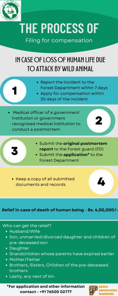 Process of Filing for Compensation: Loss of Life
