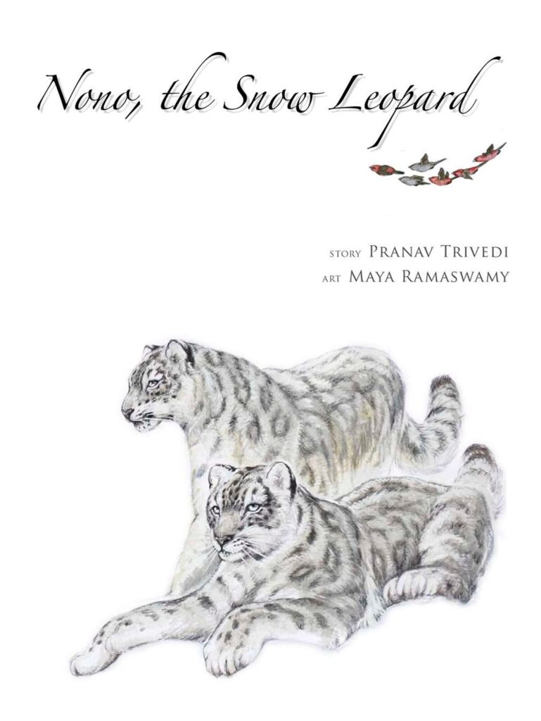 Nono the Snow Leopard