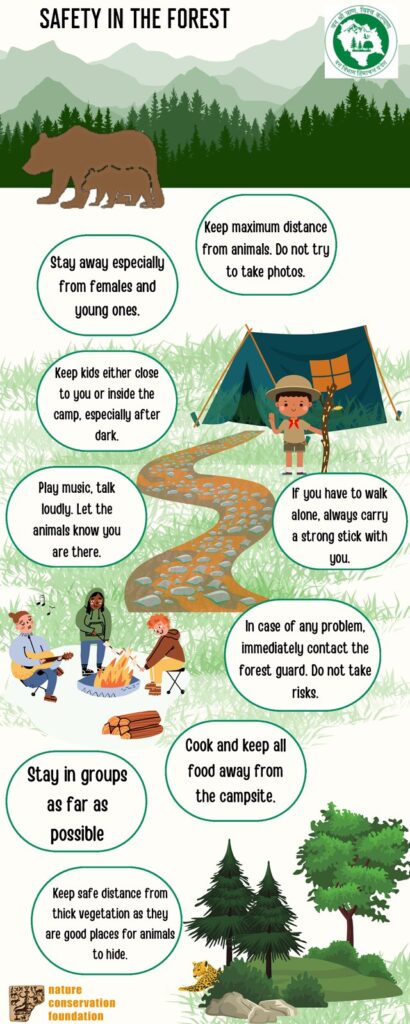 Safety in the Forest